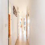 Vitelli Vijfde Appartement *